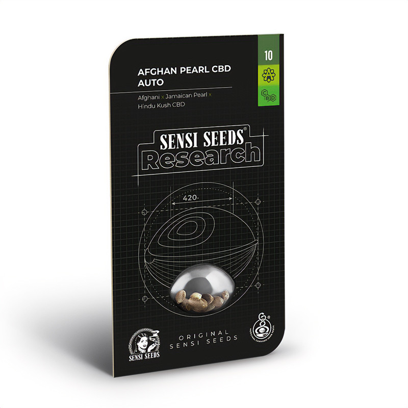 Afghan Pearl Auto - Sensi Seeds - CBD semena, pohled 2
