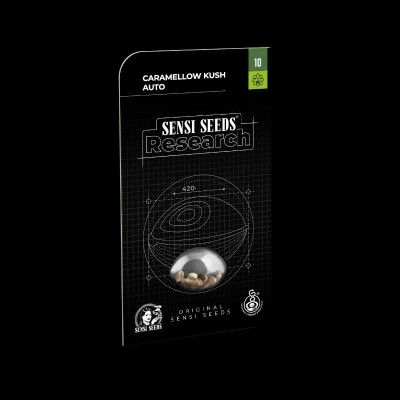 Caramellow Kush Auto - Sensi Seeds - Samonakvétací semena, pohled 2