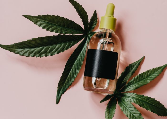 CBD semena konopí