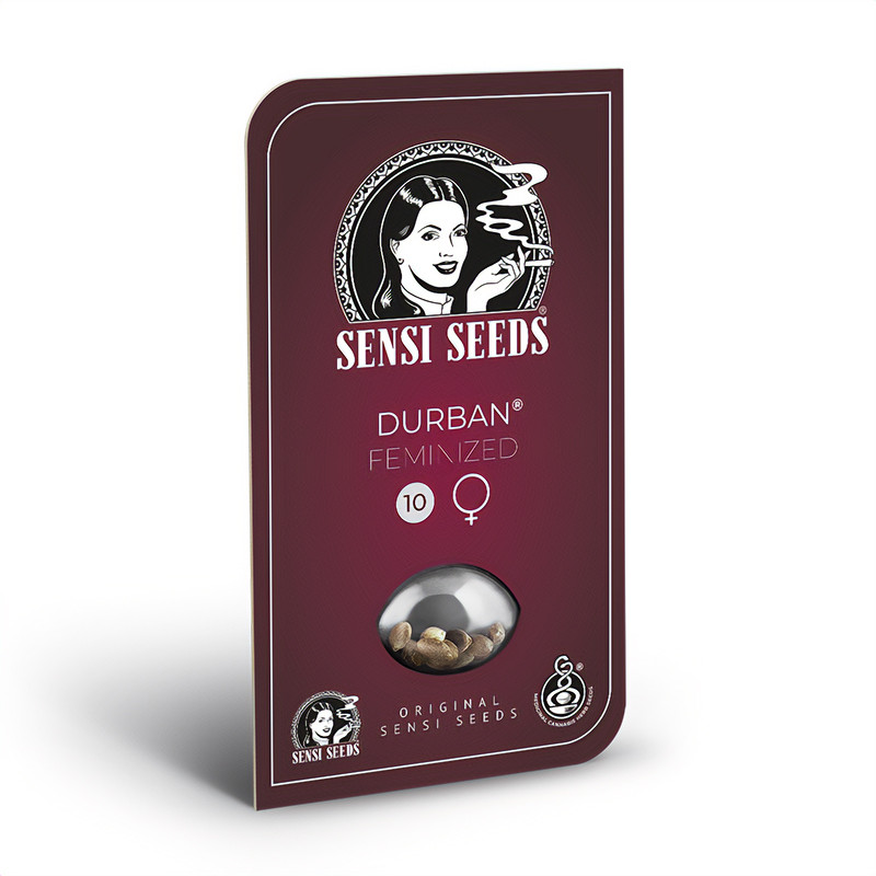 Durban - Sensi Seeds - Feminizovaná semena, pohled 2
