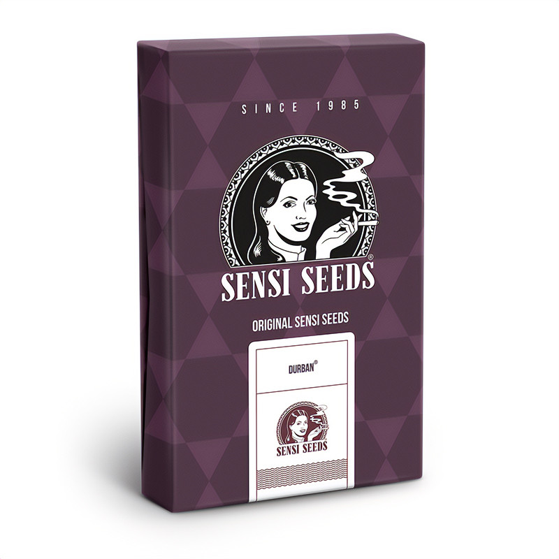 Durban - Sensi Seeds - Feminizovaná semena, pohled 3