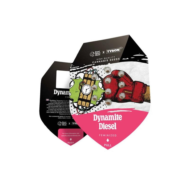 Dynamite Diesel - Tyson 2.0 - Feminizovaná semena, pohled 2