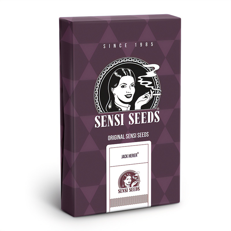 Jack Herer - Sensi Seeds - Feminizovaná semena, pohled 3