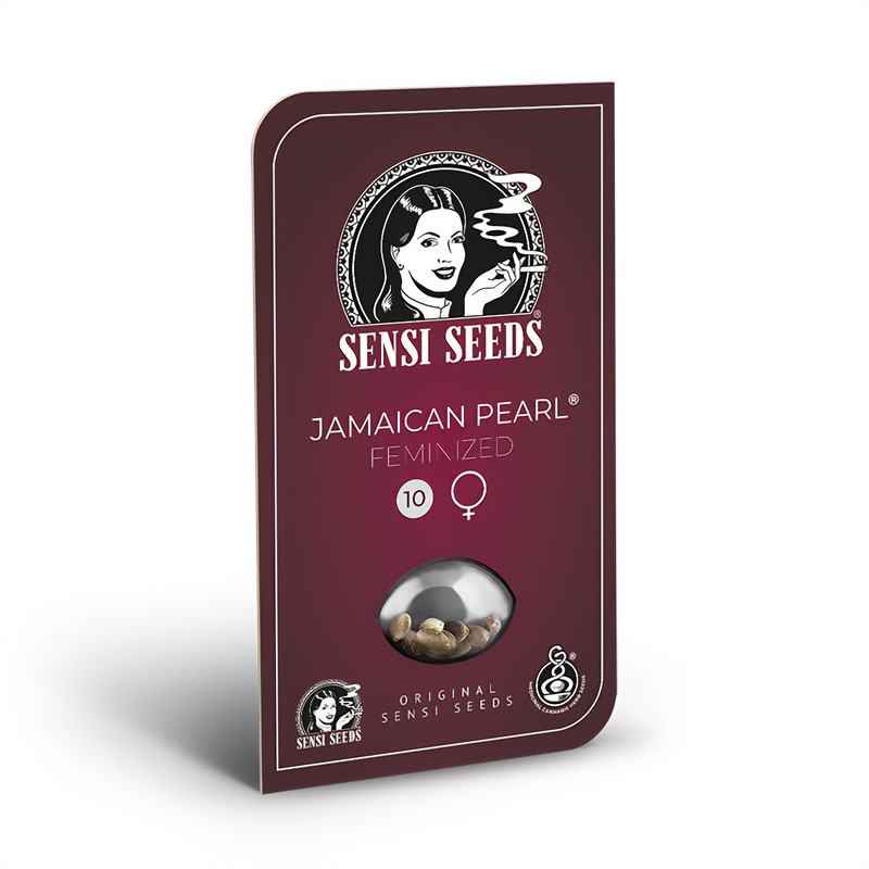 Jamaican Pearl - Sensi Seeds - Feminizovaná semena, pohled 2