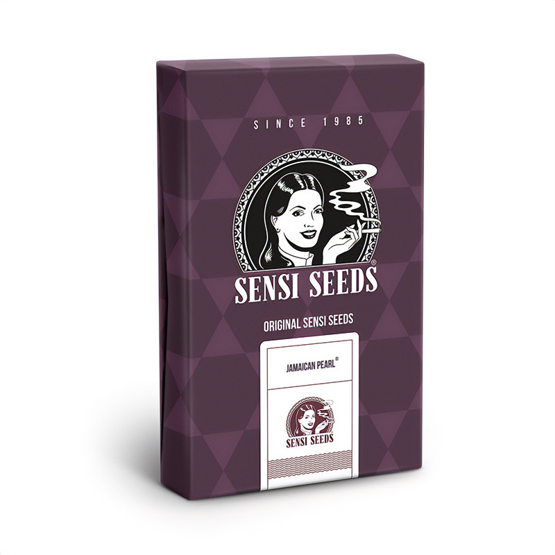 Jamaican Pearl - Sensi Seeds - Feminizovaná semena, pohled 3