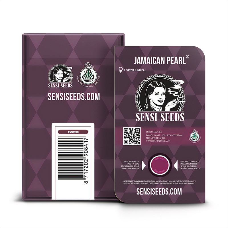 Jamaican Pearl - Sensi Seeds - Feminizovaná semena, pohled 4
