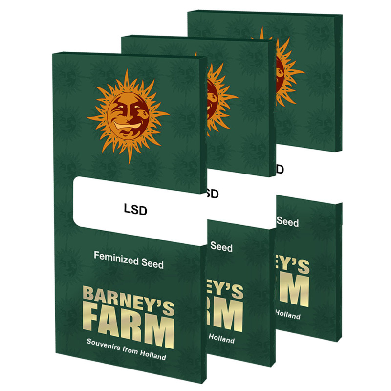 LSD - Barney's Farm - Feminizovaná semena, pohled 6