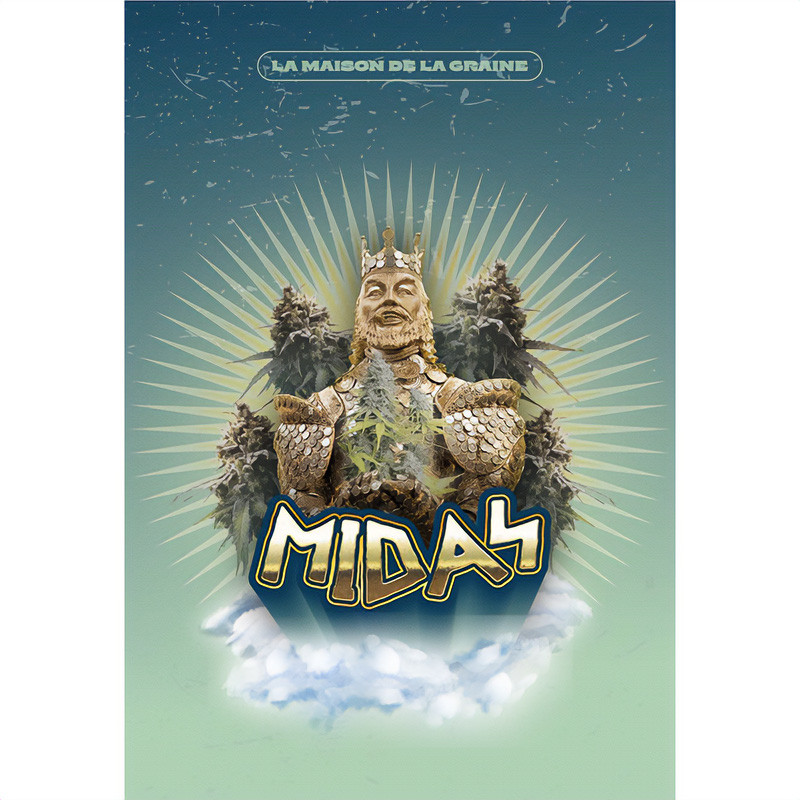 Midas Semi CBD, pohled 3