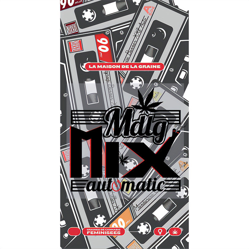 Mix Pack Automatic MDLG Seeds samonakvétací semena, pryskyřičnaté palice