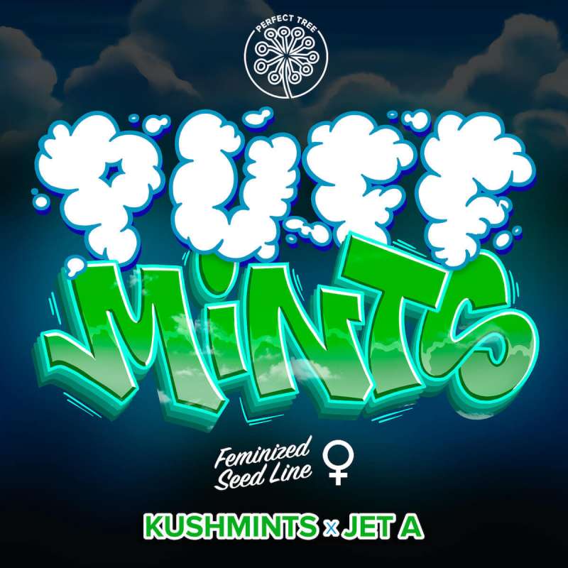 Puff Mints - Perfect Tree - Feminizovaná semena, pohled 2