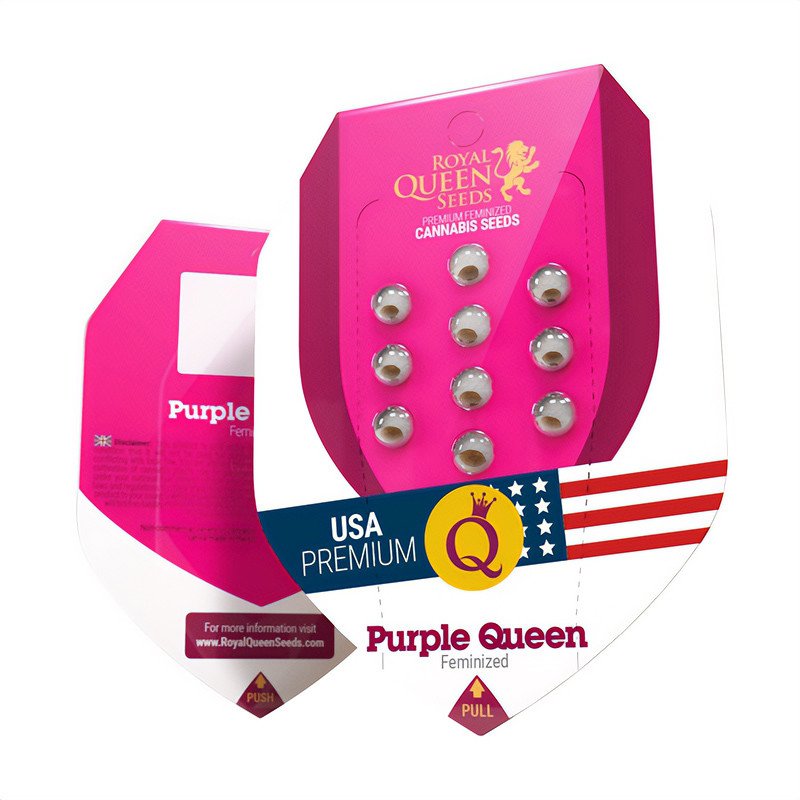 Purple Queen - Royal Queen Seeds - Feminizovaná semena, pohled 2