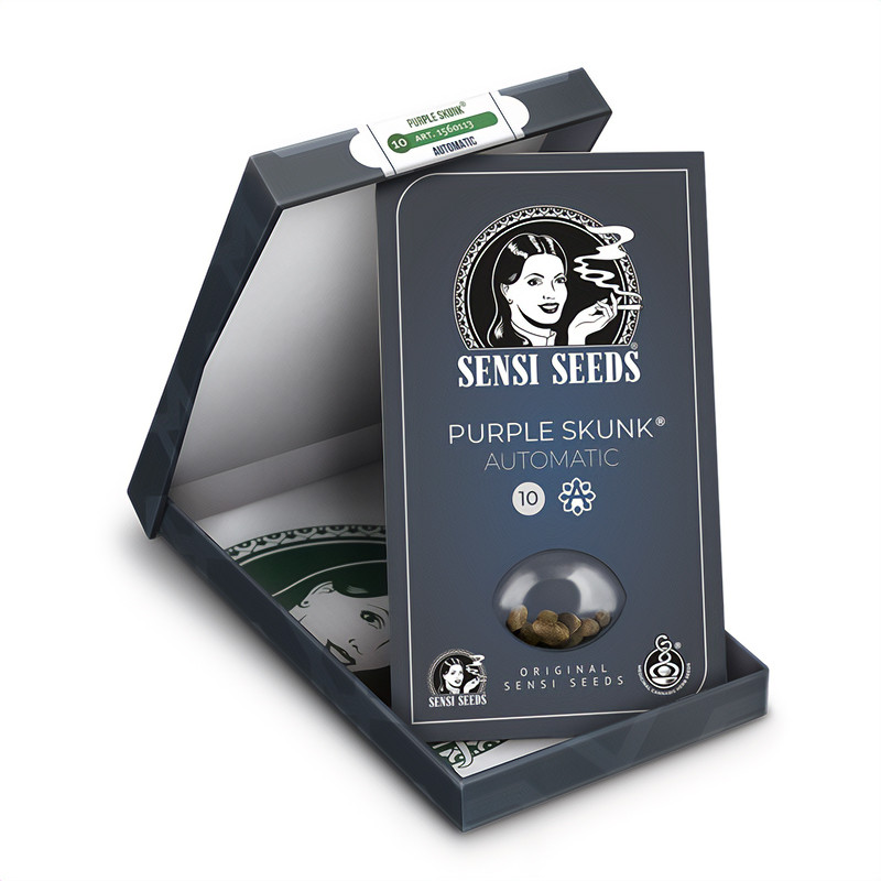 Purple Skunk Auto - Sensi Seeds - Samonakvétací semena, pohled 2