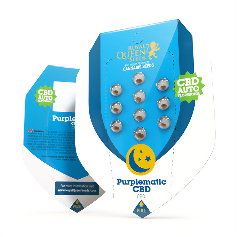 PurpleMatic - Royal Queen Seeds - CBD semena, pohled 2