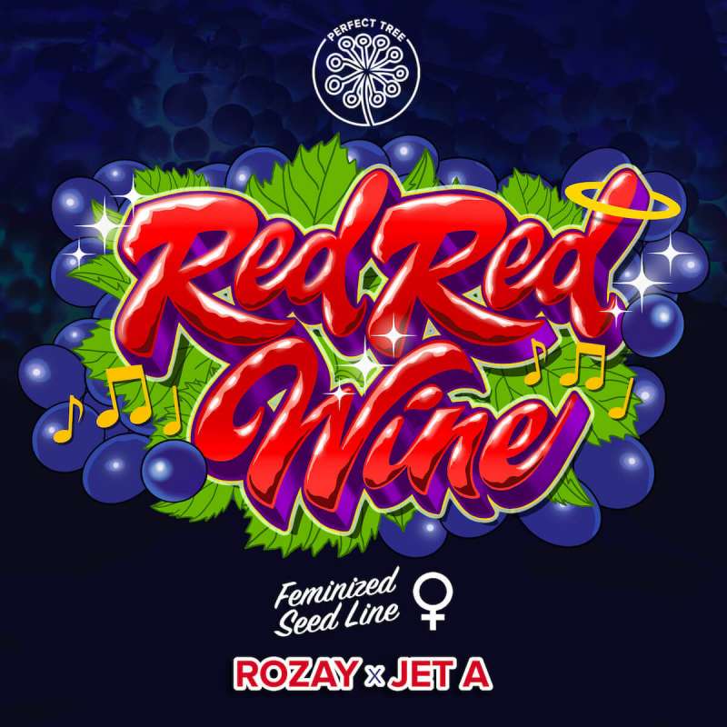 Red Red Wine - Perfect Tree - Feminizovaná semena, pohled 2