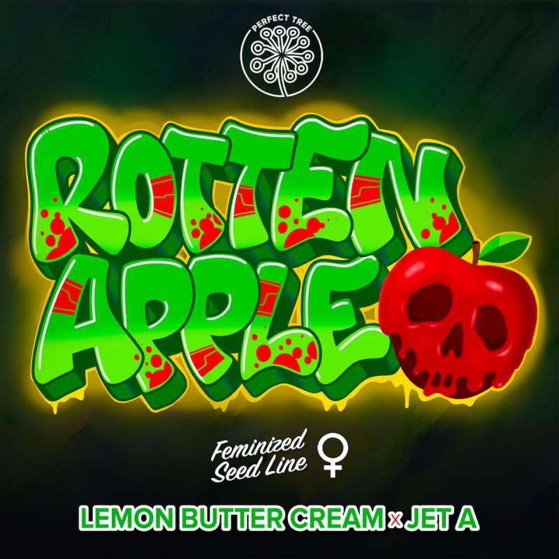 Rotten Apple - Perfect Tree - Feminizovaná semena, pohled 2