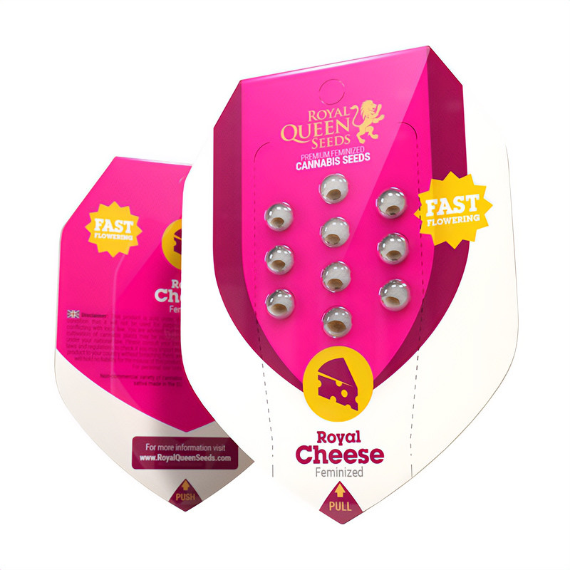 Royal Cheese - Royal Queen Seeds - Feminizovaná semena, pohled 2