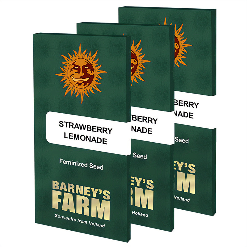 Strawberry Lemonade - Barney's Farm - Feminizovaná semena, pohled 5
