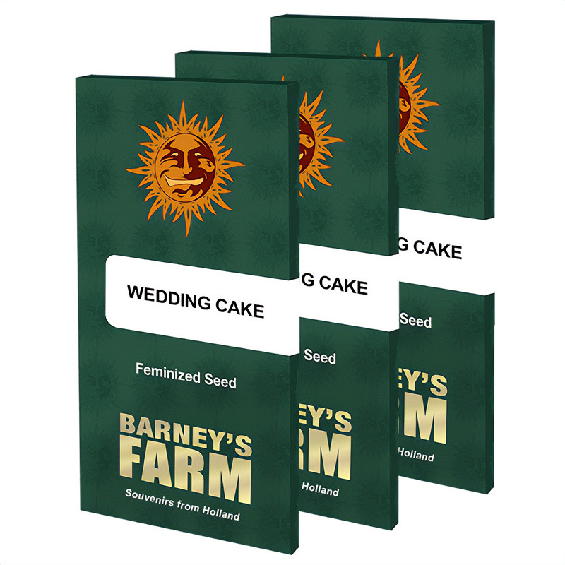 Wedding Cake - Barney's Farm - Feminizovaná semena, pohled 5