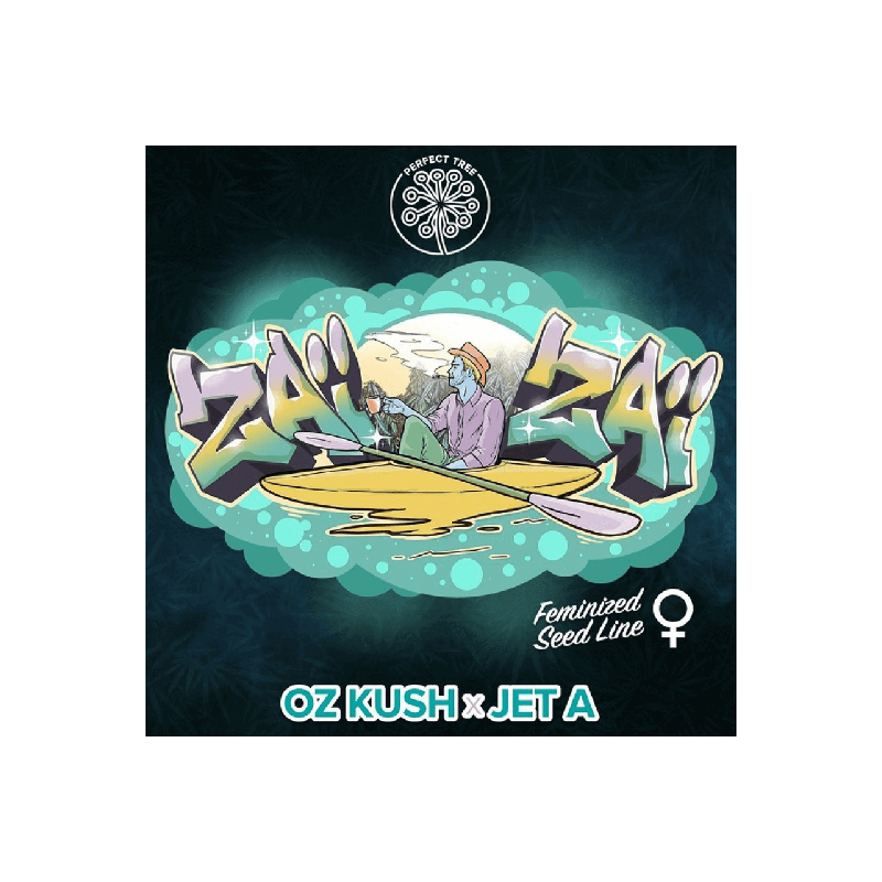Zaï Zaï - Perfect Tree - Feminizovaná semena, pohled 3